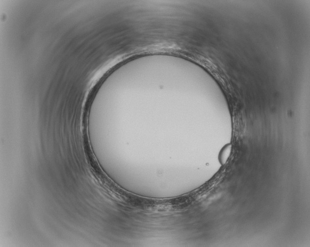 X0000060270196200511181428