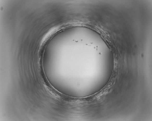 X0000060270197200511181428