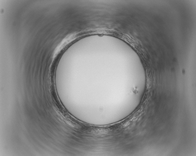 X0000060270198200511181428