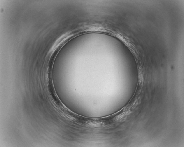 X0000060270199200511181428