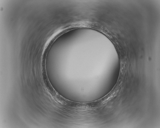 X0000060270200200511181428