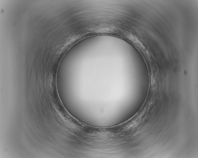 X0000060270201200511181428