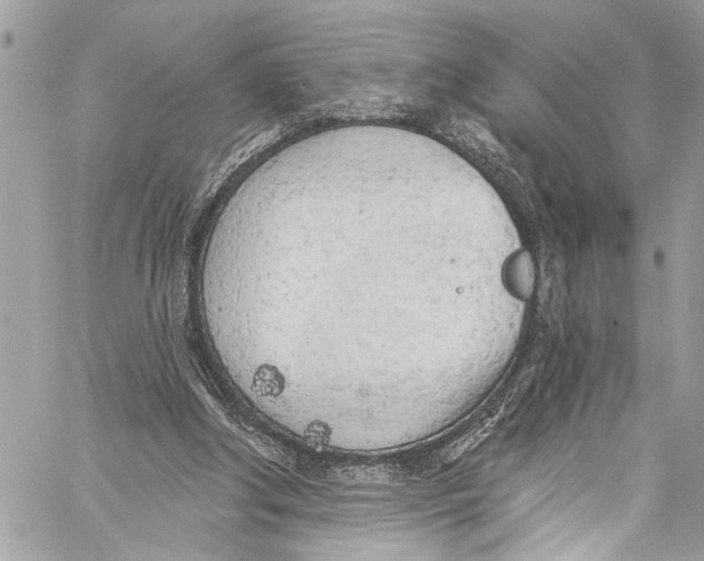 X0000060270202200511181428