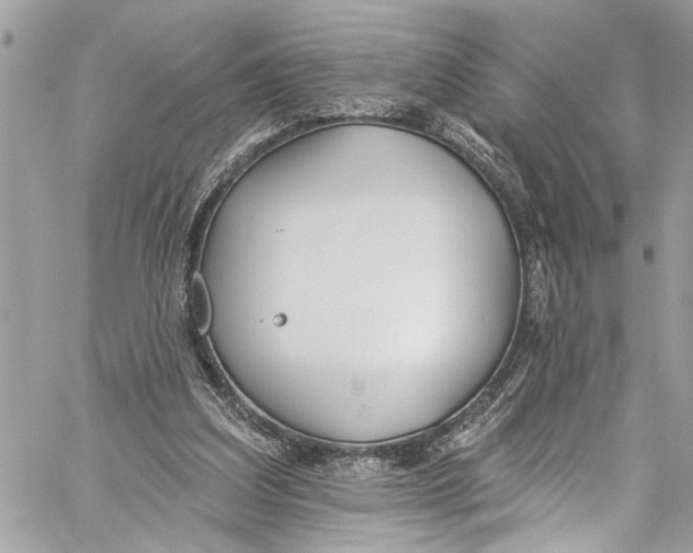 X0000060270203200511181428