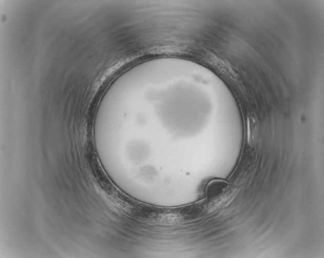 X0000060270204200511181428