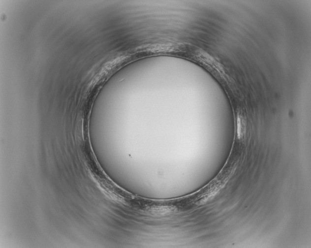 X0000060270205200511181428