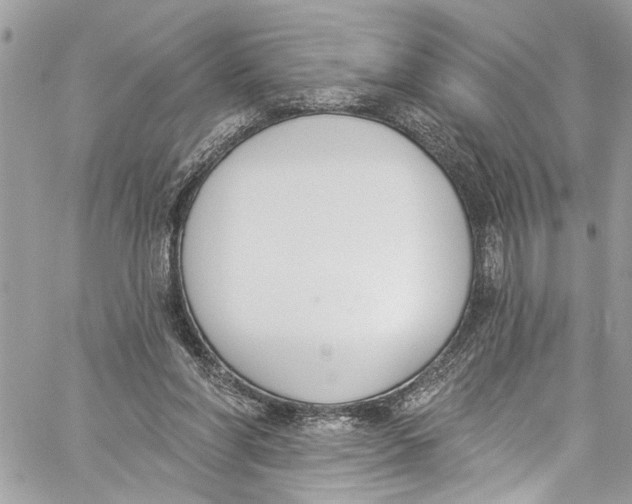 X0000060270206200511181428