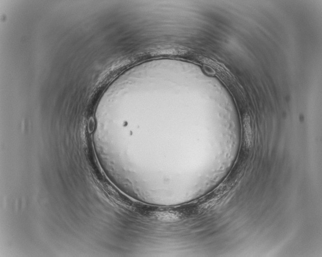 X0000060270207200511181428