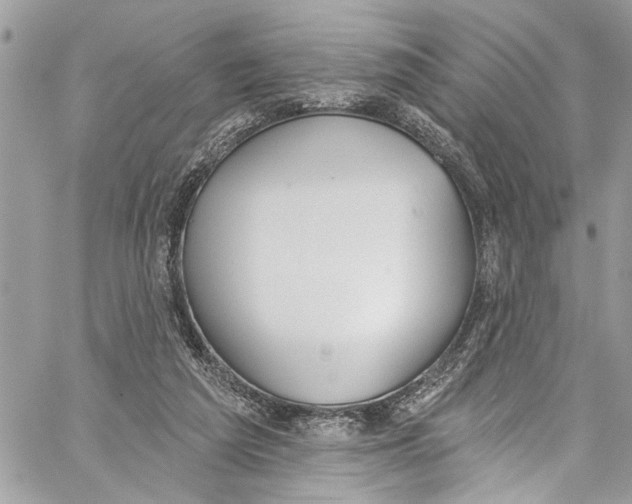 X0000060270209200511181428