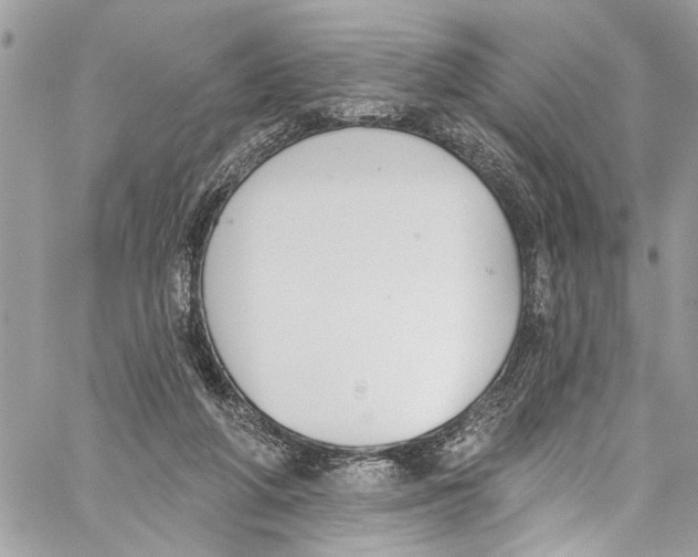 X0000060270210200511181428