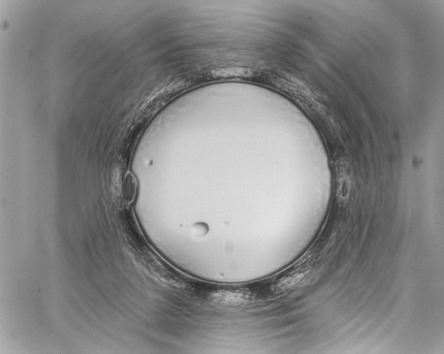 X0000060270211200511181428