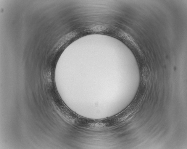 X0000060270212200511181428