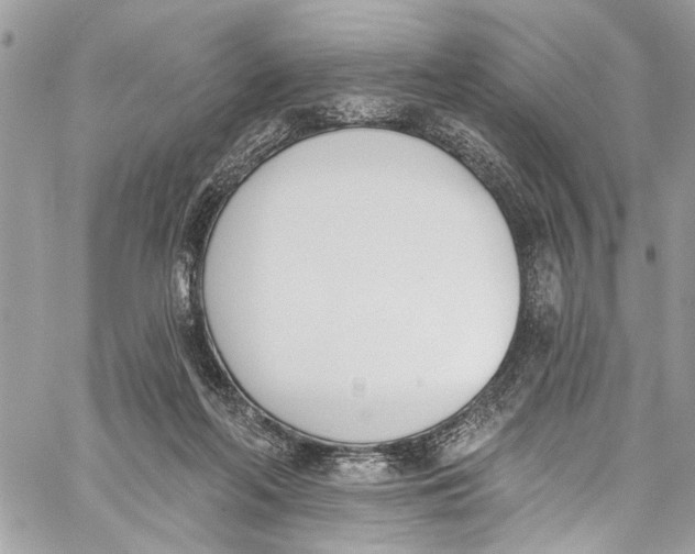 X0000060270214200511181428