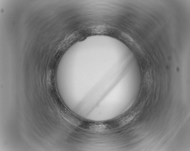 X0000060270217200511181428