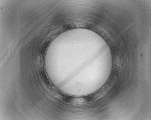 X0000060270218200511181428