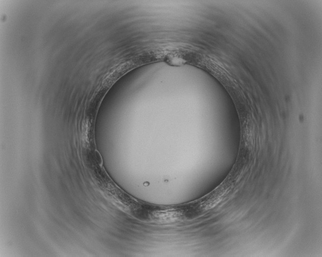 X0000060270219200511181428