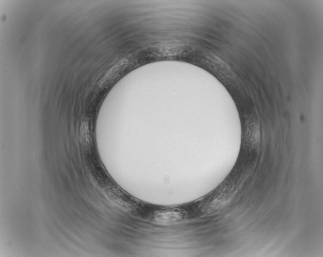 X0000060270220200511181427