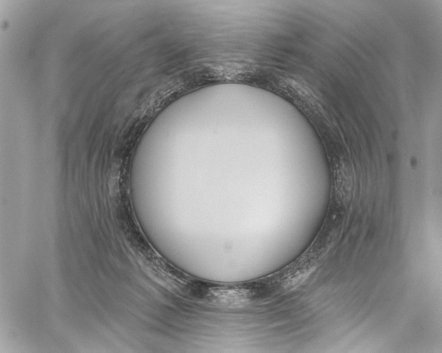 X0000060270221200511181427