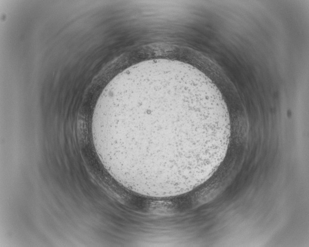 X0000060270222200511181427