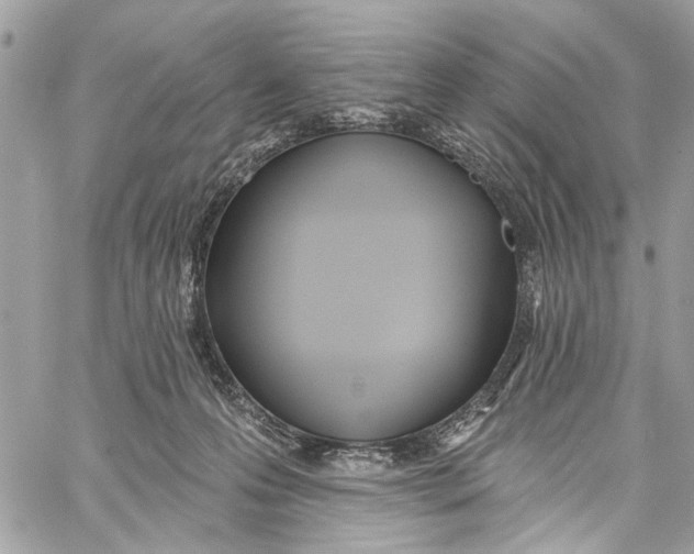 X0000060270223200511181427