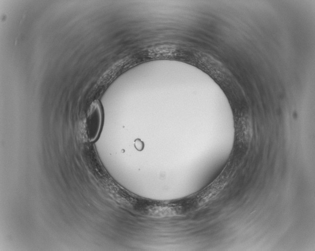 X0000060270224200511181427