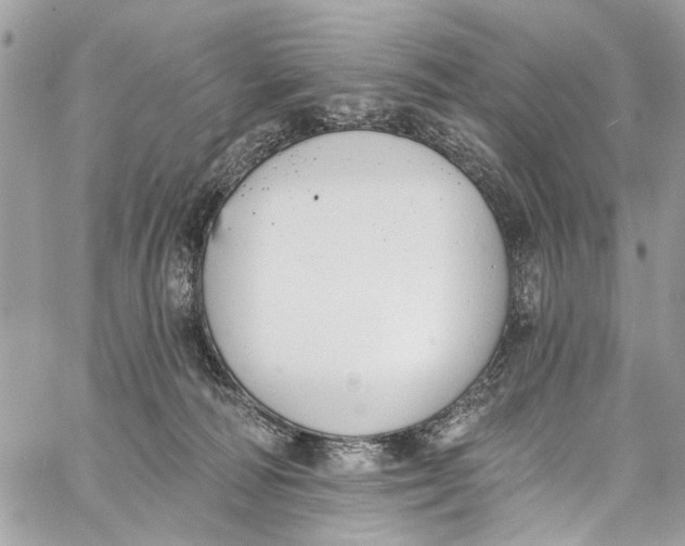 X0000060270226200511181427