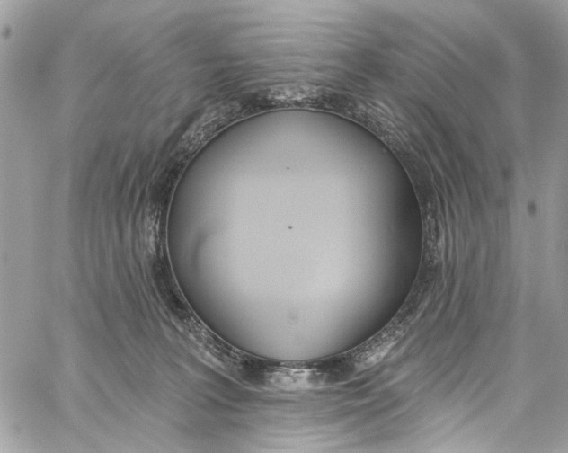 X0000060270227200511181427