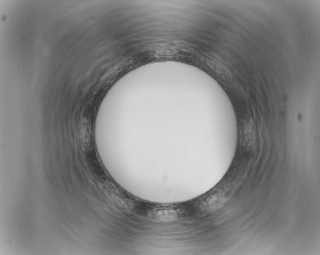 X0000060270228200511181427