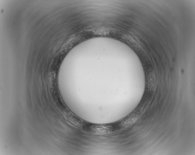 X0000060270229200511181427