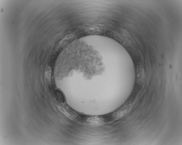 X0000060270231200511181427