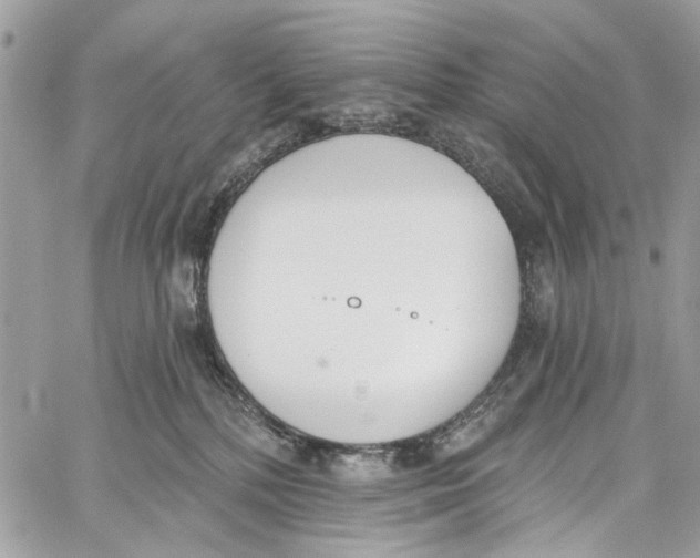 X0000060270232200511181427