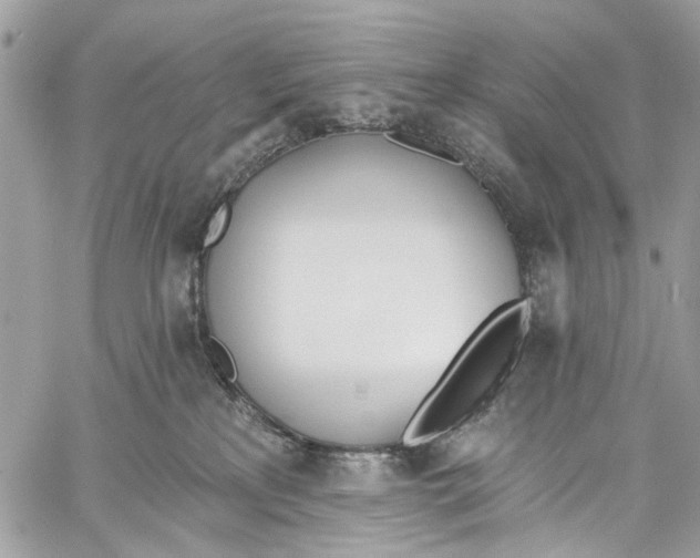 X0000060270233200511181427