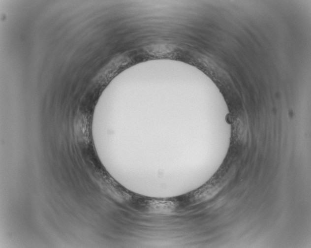 X0000060270234200511181427