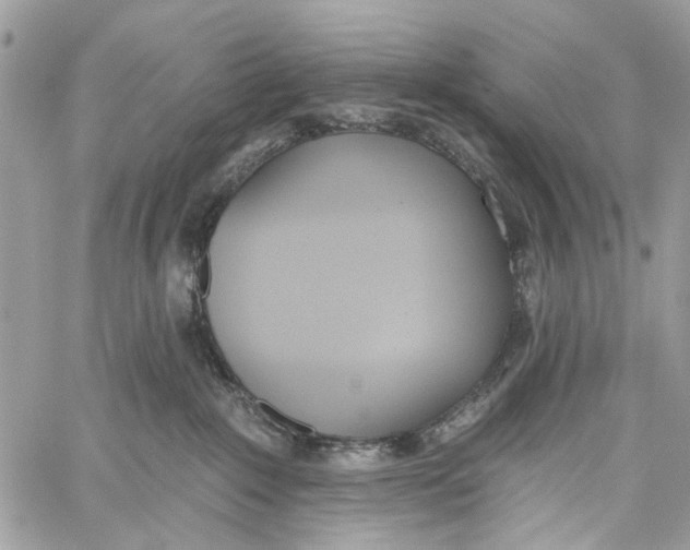 X0000060270235200511181427