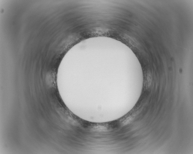 X0000060270236200511181427