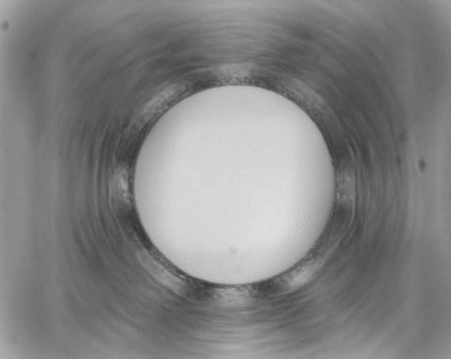 X0000060270238200511181427