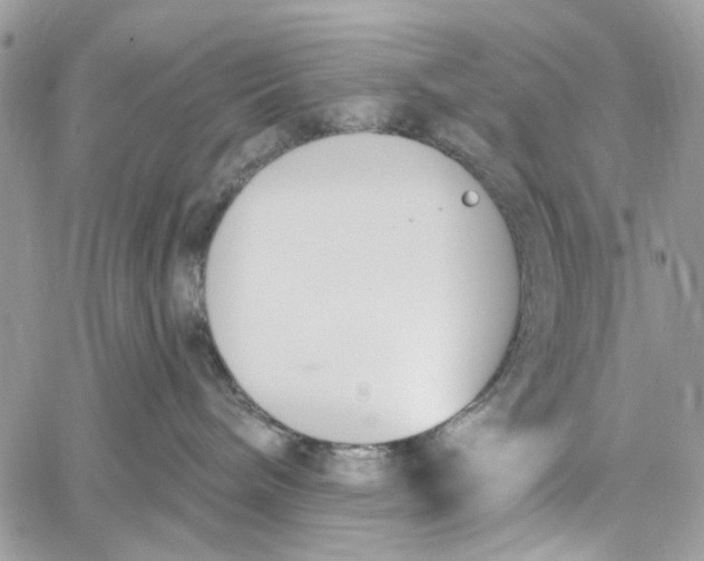 X0000060270240200511181427