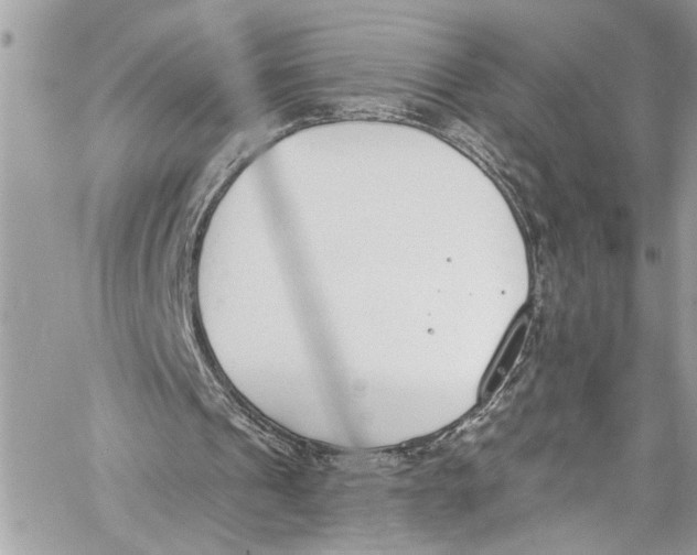 X0000060270241200511181426