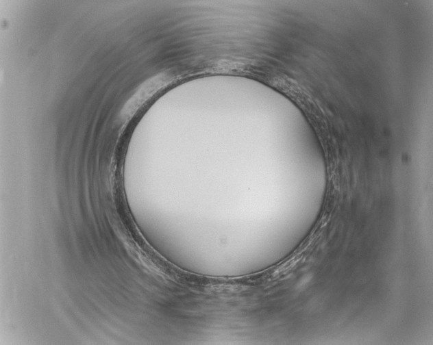 X0000060270242200511181426