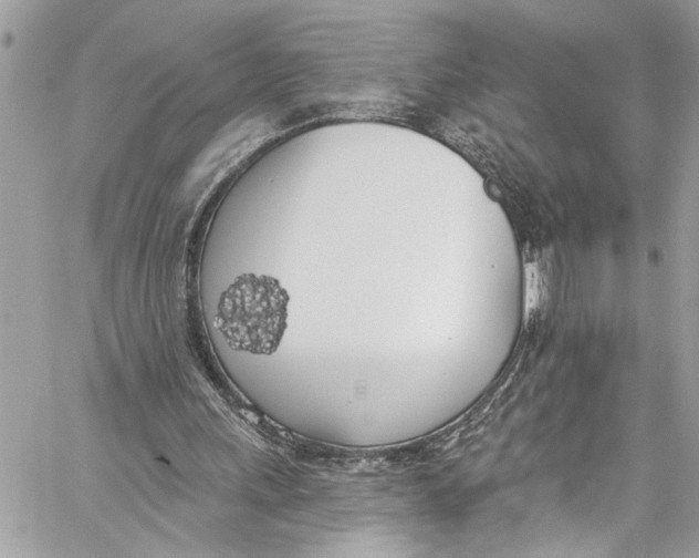 X0000060270243200511181426