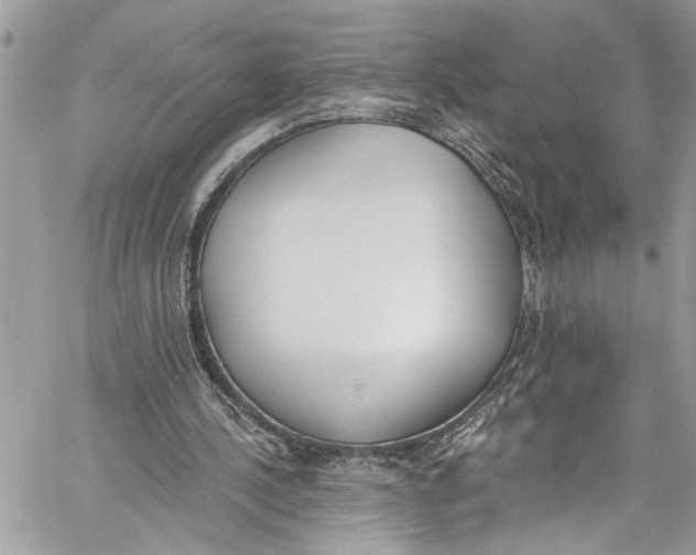 X0000060270244200511181426