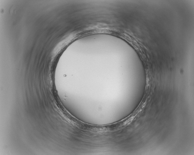 X0000060270245200511181426