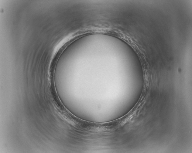 X0000060270246200511181426