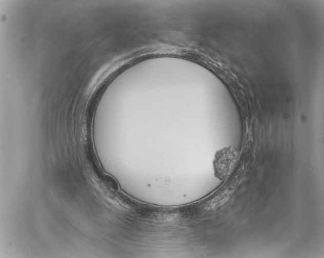 X0000060270247200511181426