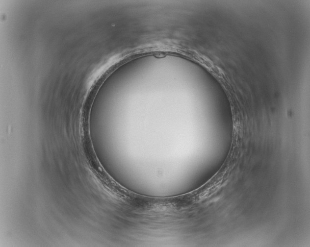 X0000060270248200511181426