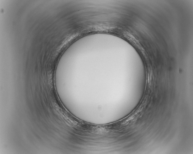 X0000060270249200511181427