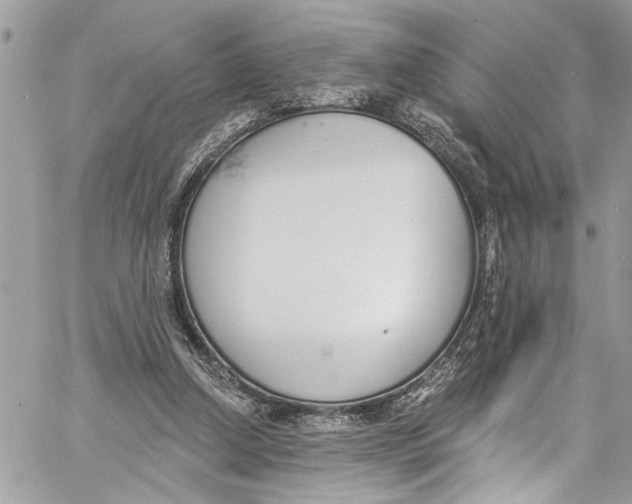 X0000060270250200511181427