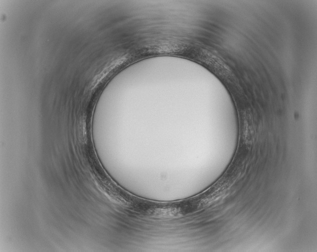 X0000060270251200511181427