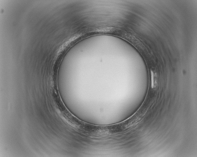 X0000060270252200511181427