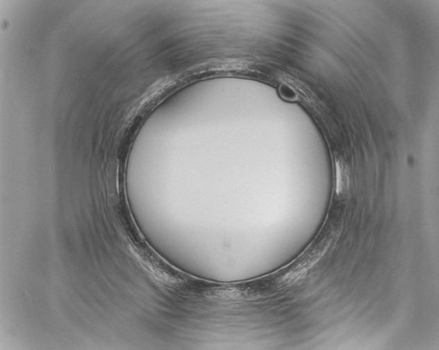 X0000060270253200511181427